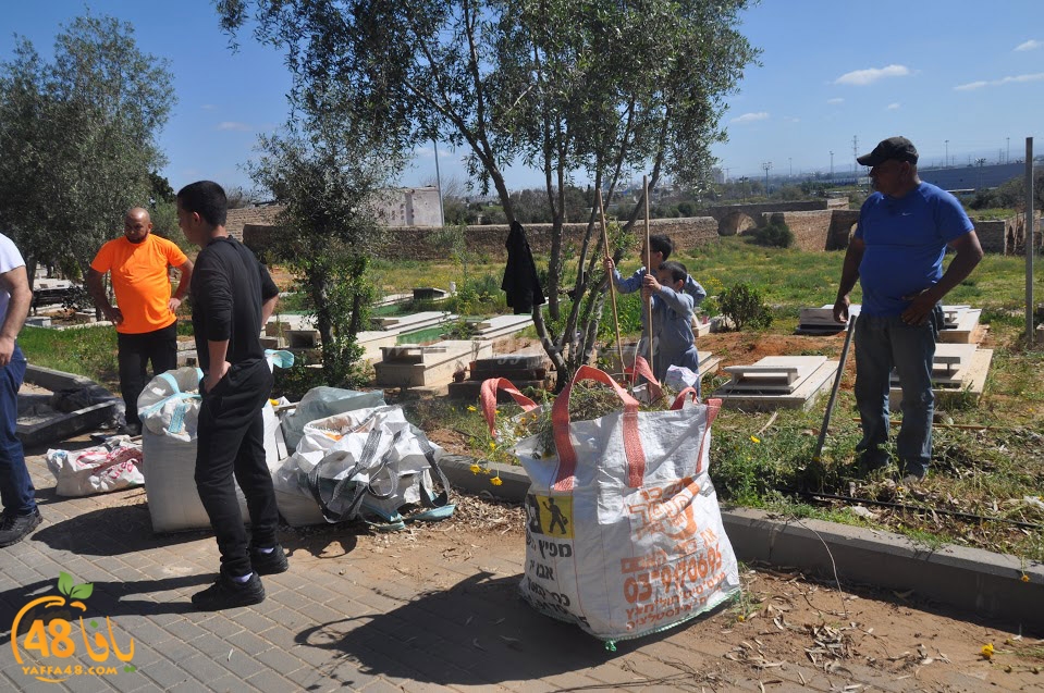 tasohamlalanjna (4).jpg